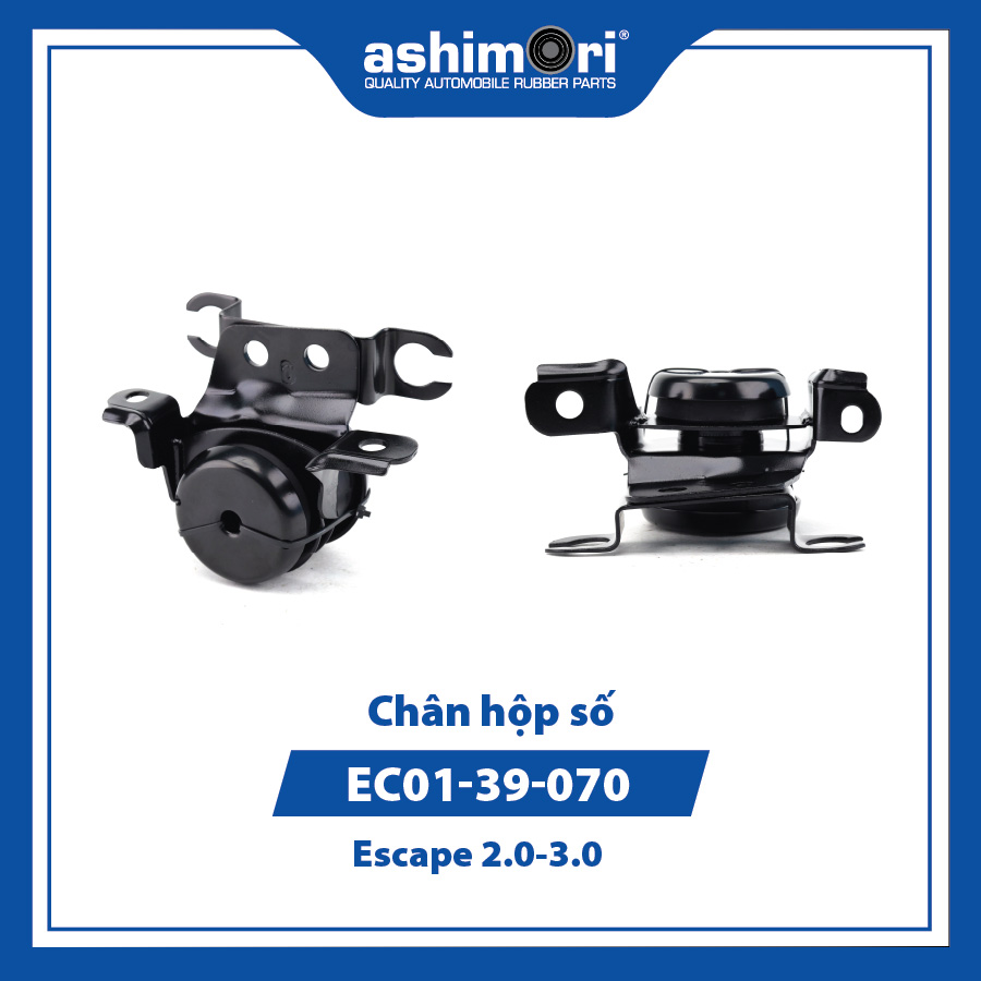 Chân hộp số SEMMZ-20061/OEM No.EC01-39-070