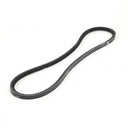 Dây curoa thang Optibelt  V10x955