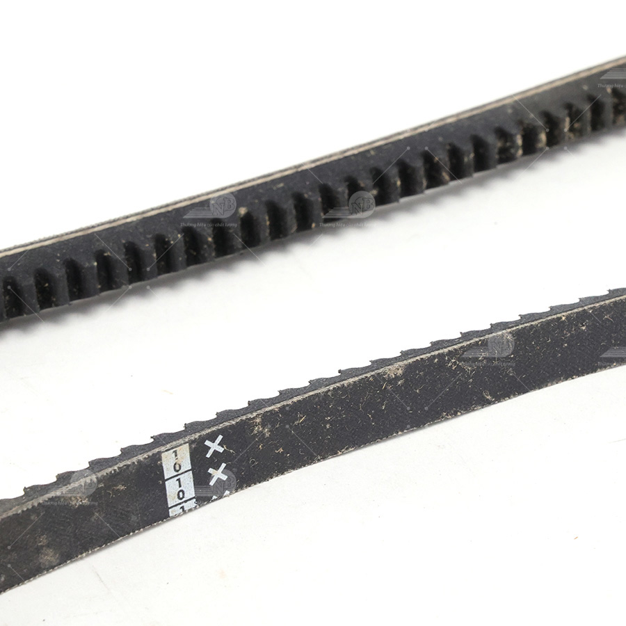 Dây curoa thang Optibelt  V13x795