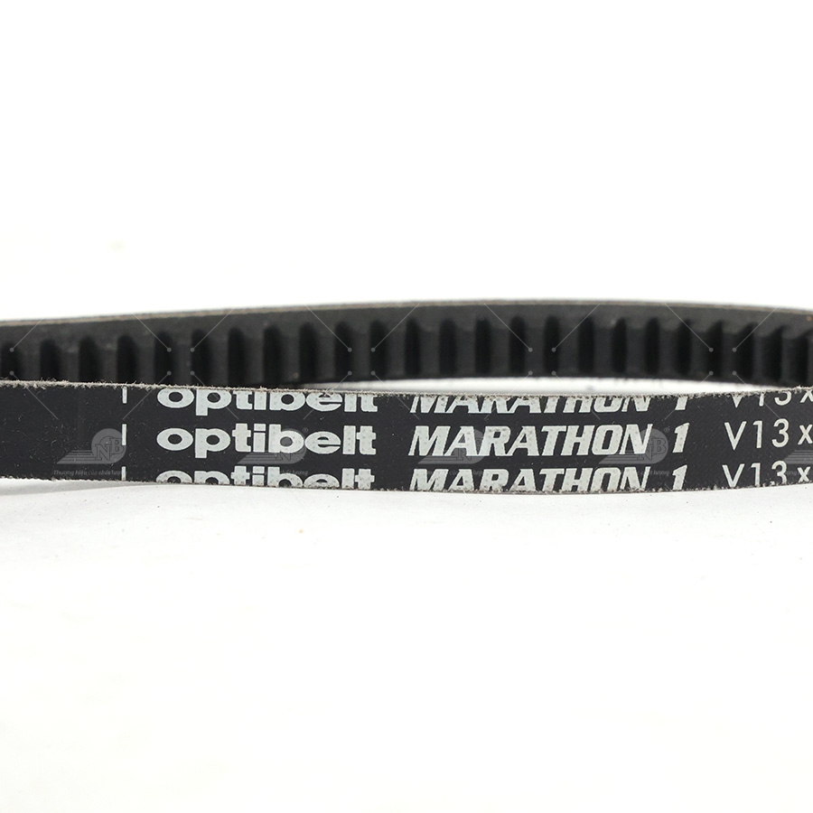 Dây curoa thang Optibelt  V13X925