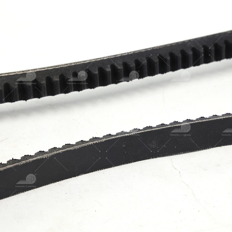 Dây curoa thang Optibelt  V13X925