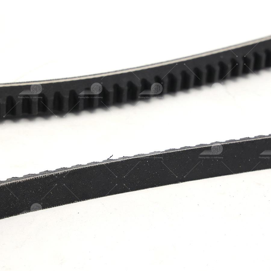 Dây curoa thang Optibelt  V13x975