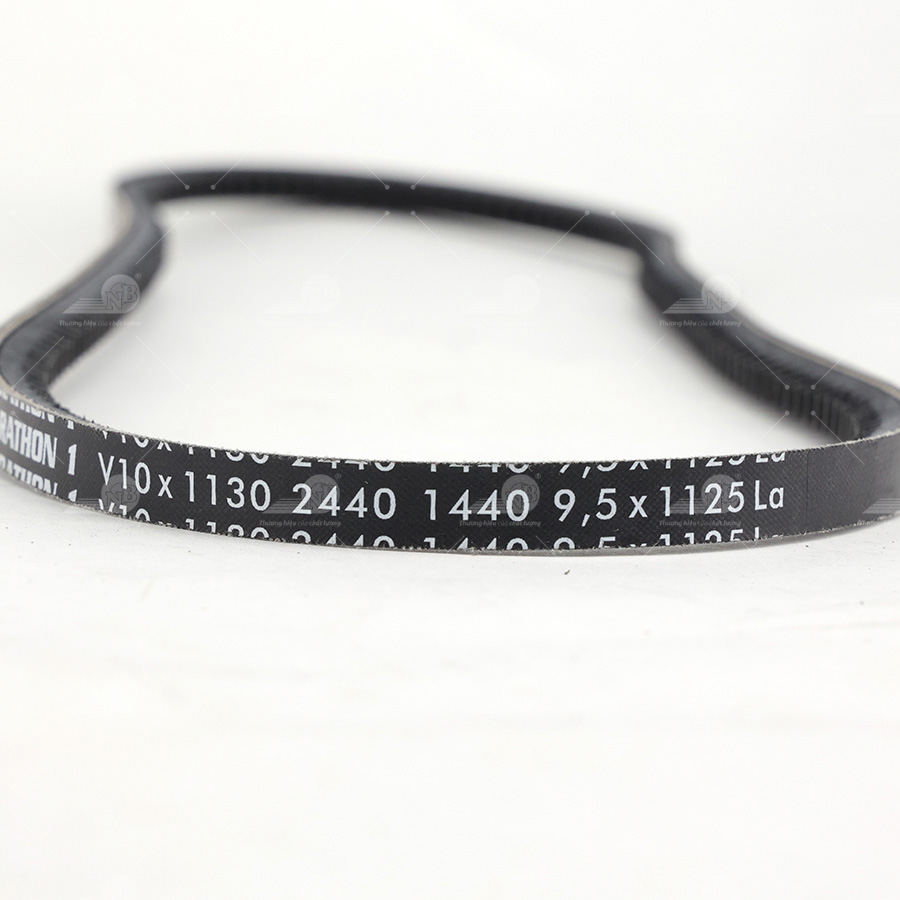 Dây curoa thang Optibelt  V10x1130