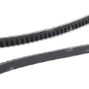 Dây curoa thang Optibelt  V10x1305