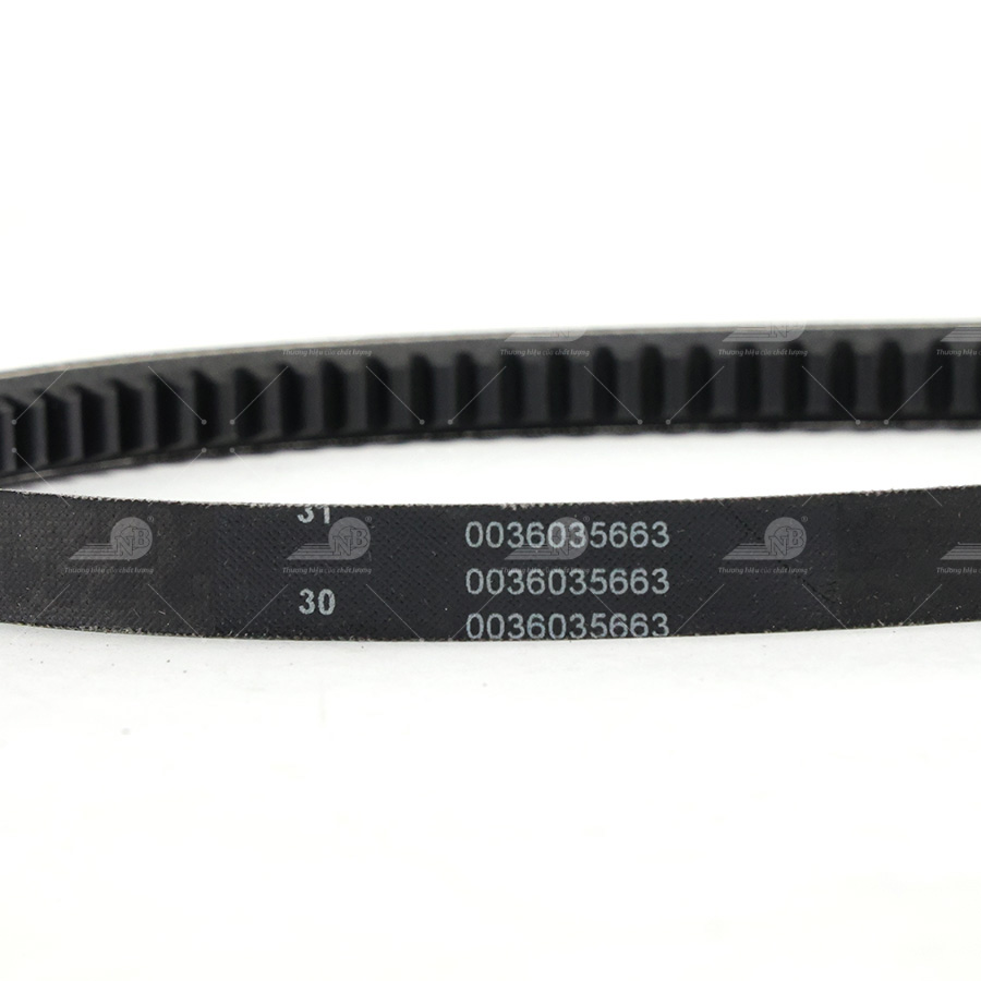 Dây curoa thang Optibelt  V13x1485