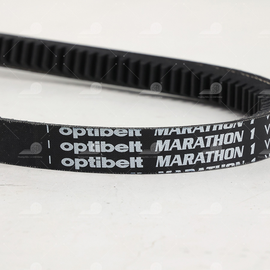 Dây curoa thang Optibelt  V15x1255