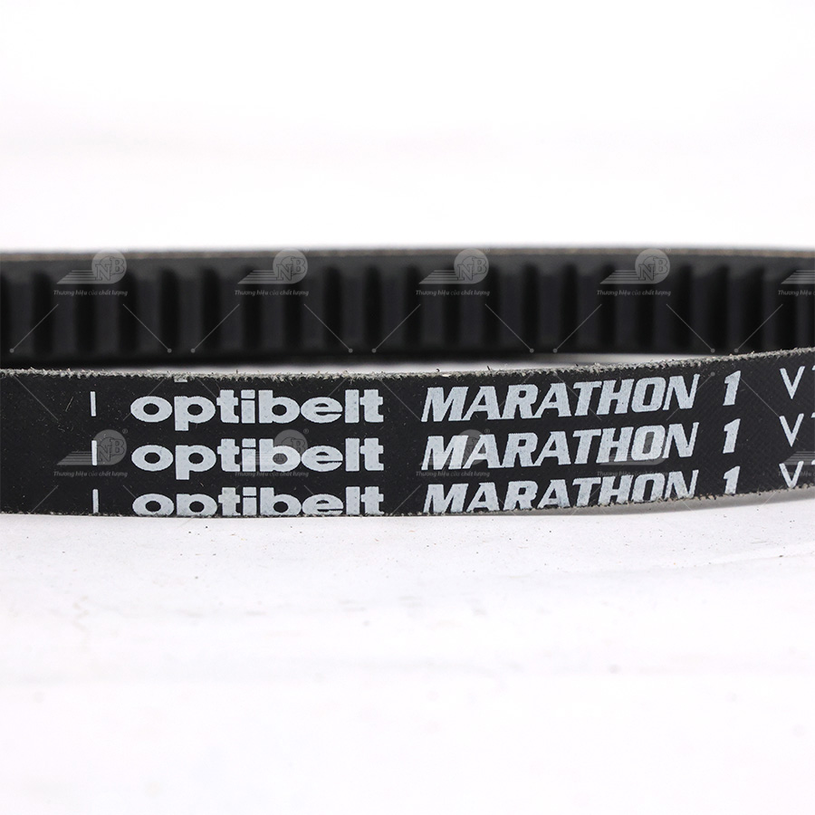 Dây curoa thang Optibelt  V15x1280