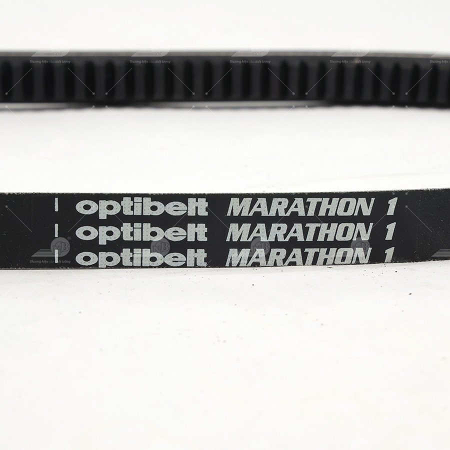 Dây curoa thang Optibelt  V15x1510