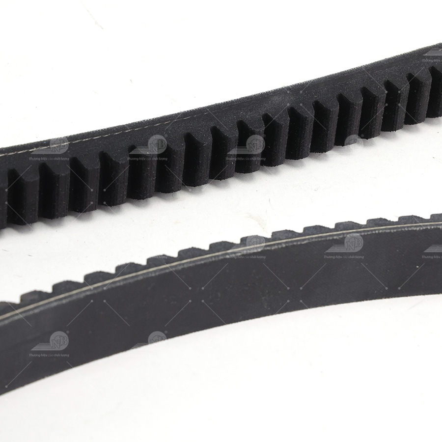 Dây curoa thang Optibelt  V20x1195