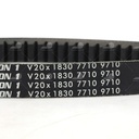 Dây curoa thang Optibelt  V20x1830