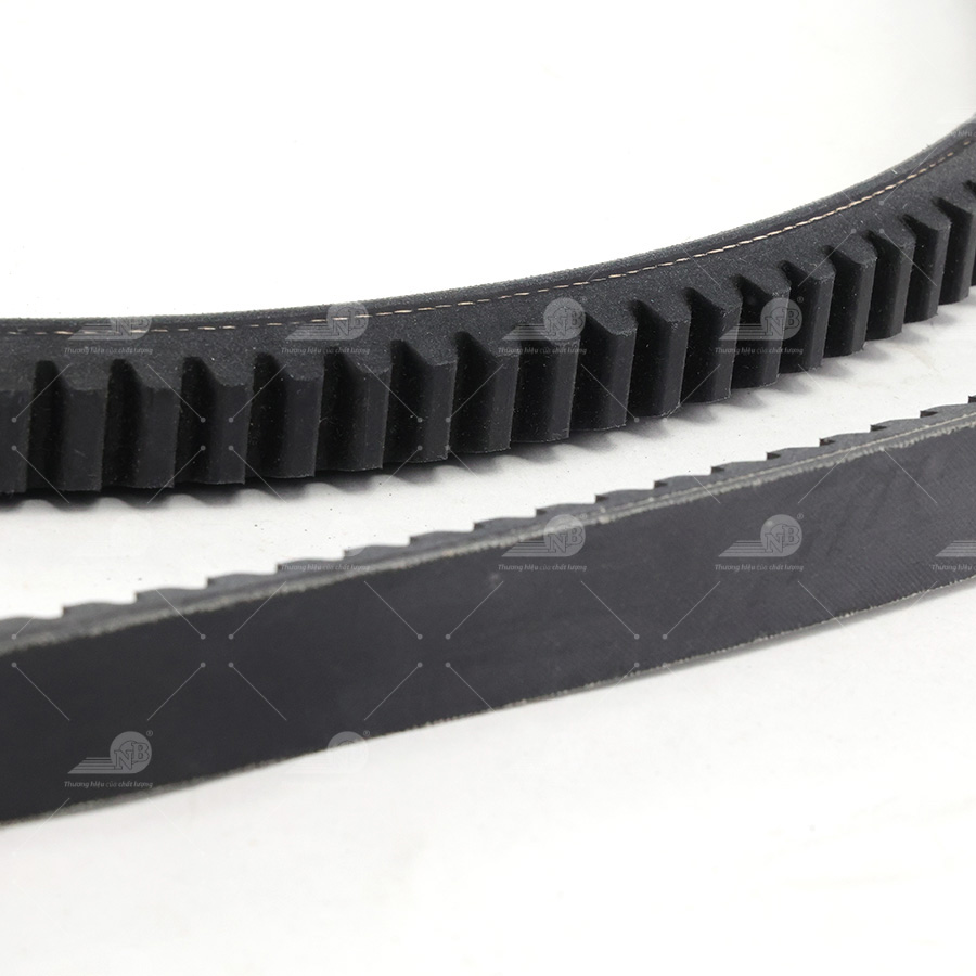 Dây curoa thang Optibelt  V20x1830