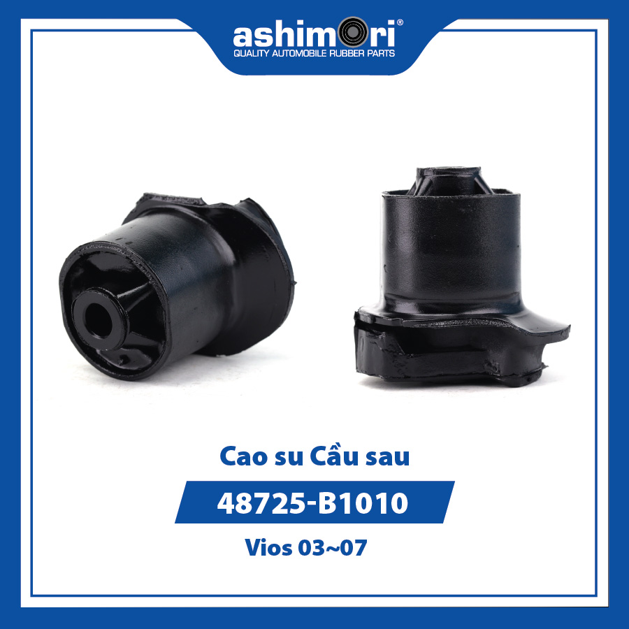 Cao su Cầu sau SBHTY-20106/OEM No.48725-B1010