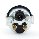 Đồng hồ đo volt (Ấn Độ) 210003 (24V)
