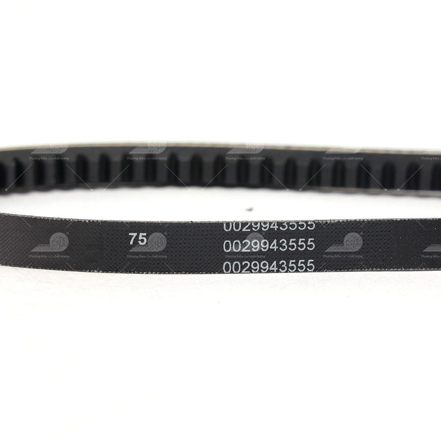 Dây curoa thang Optibelt V10x765