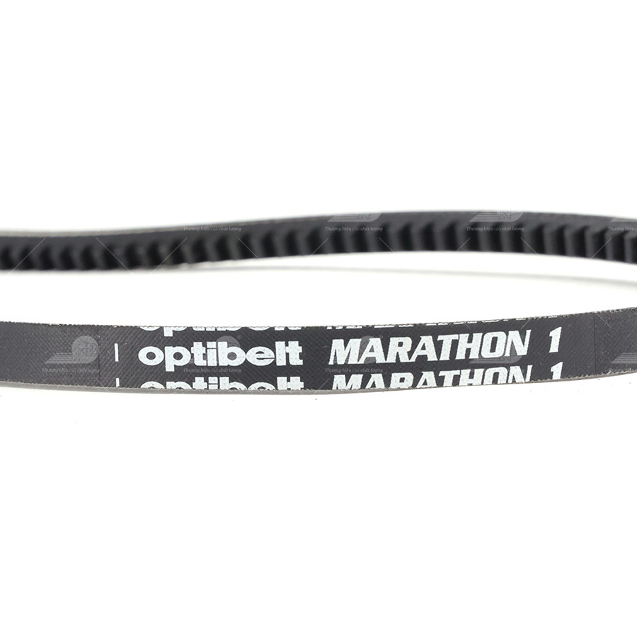 Dây curoa thang Optibelt V10x1409 F56 (2560)