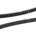 Dây curoa thang Optibelt V10x1409 F56 (2560)