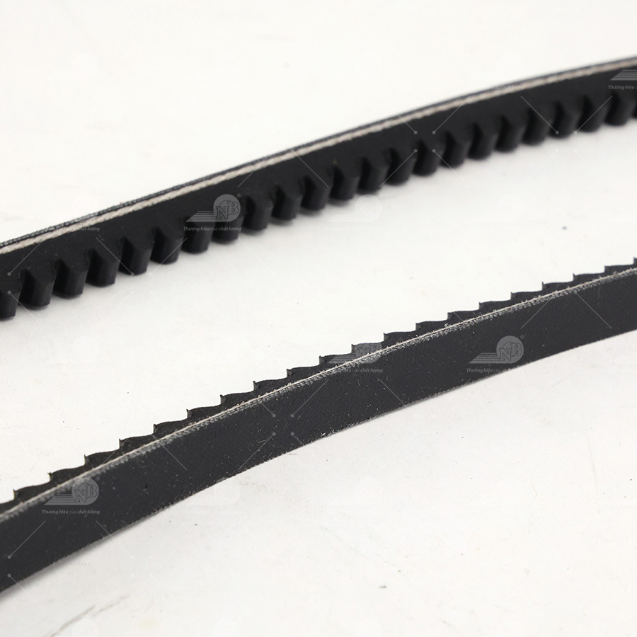 Dây curoa thang Optibelt V10x1613 F64 (2640)