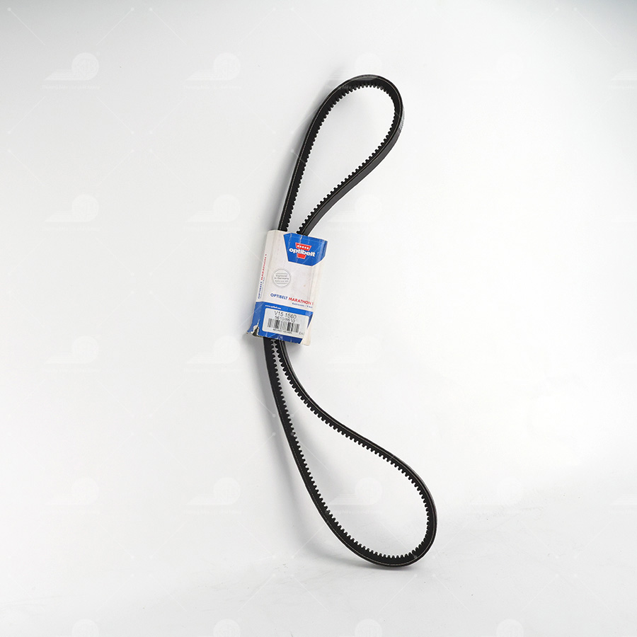 Optibelt B61 - V15x1560 Dây curoa thang