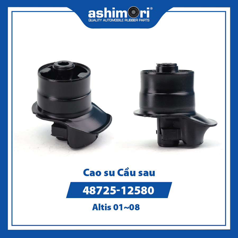 [9HCSSBHTY20020] Cao su Cầu sau SBHTY-20020/OEM No.48725-12580
