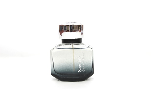 [DTLYLA0593] Dầu thơm khử mùi SCENERY LA-059 BLACK ICE 60ML XÁM